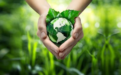 Solar-Powered Green Initiatives