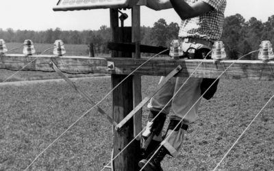 When Were Solar Panels First Used