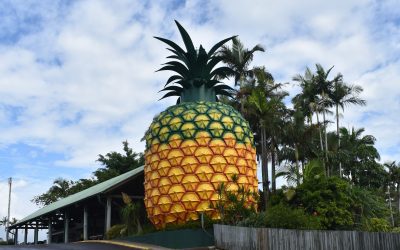 How Much Sun Does QLD Get Per Day